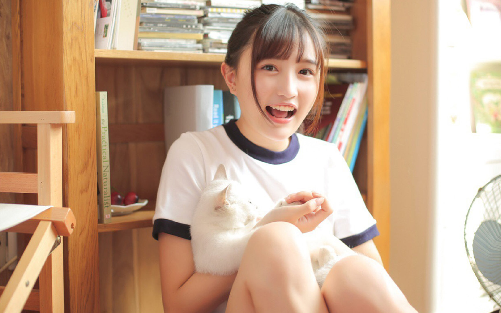 _猛龙队稳扎稳打,收获关键胜利_,猛龙队员