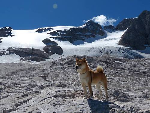九游娱乐官方平台-【运动员访谈】奥沙利文谈比赛中的罚分与犯规应对，奥沙利文享受比赛