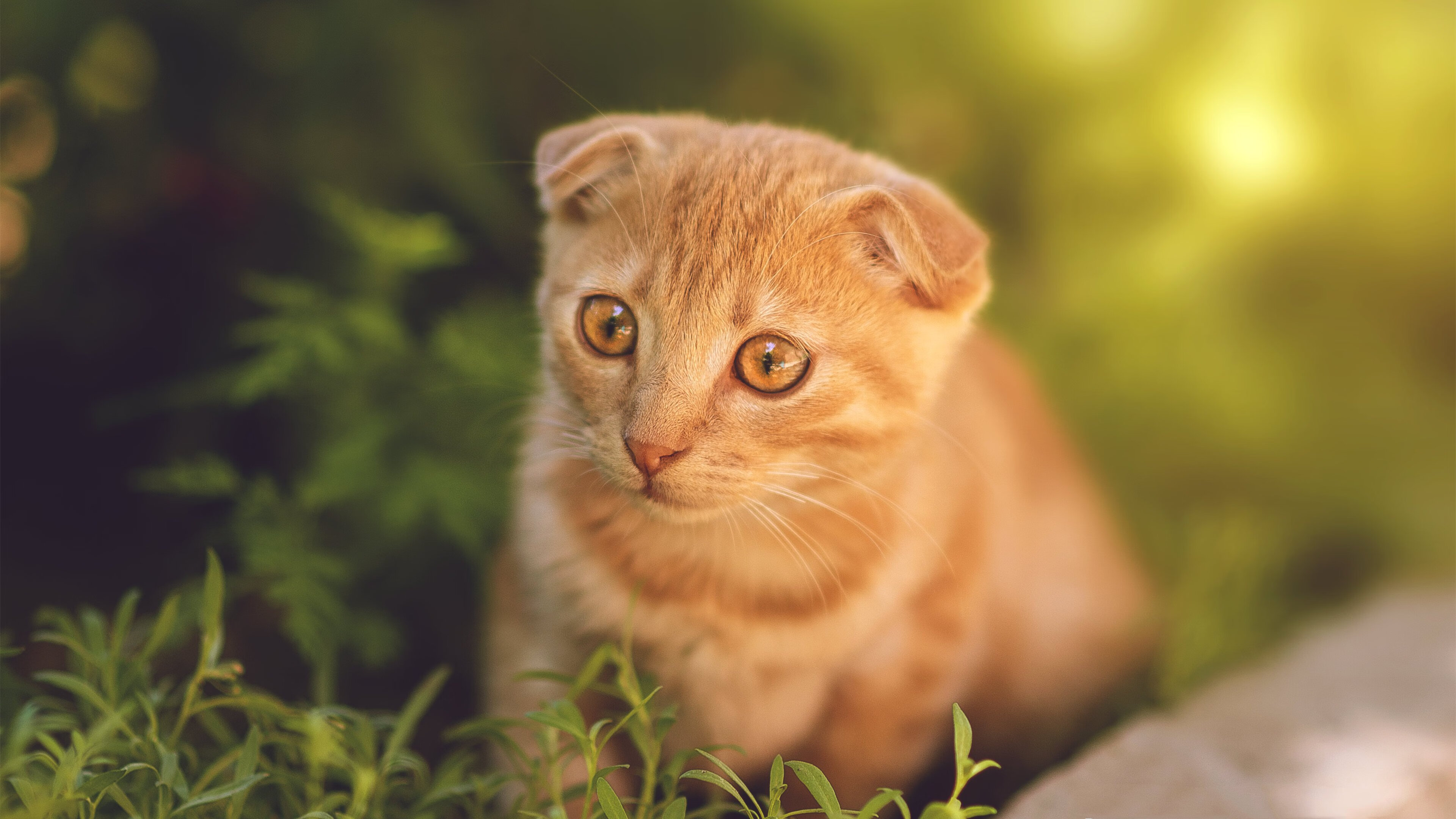 全民健身计划推动篮球场地数量持续增加，惠及更多青少年，全民健身中心篮球场价格