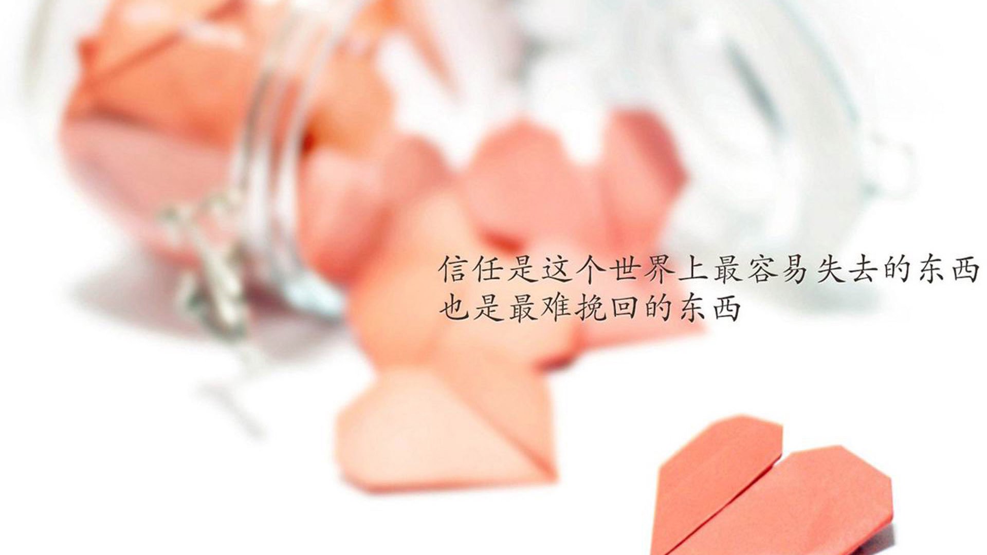 凯尔特人退休球衣仪式隆重举行，皮尔斯致辞感人，凯尔特人退役皮尔斯球衣